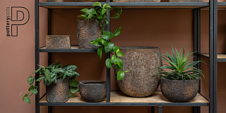 POTTERY POTS